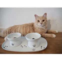 Necoichi Double Dining Tray Set & Elevated Cat Bowls -Pet Cat Supplies Store 230660 PT8. AC SS1800 V1631312193