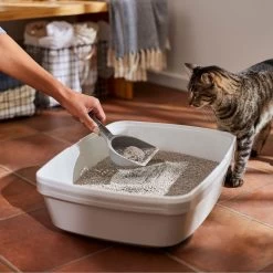 Frisco Lightweight Scented Clumping Cat Litter -Pet Cat Supplies Store 230718 PT4. AC SS1800 V1659023572