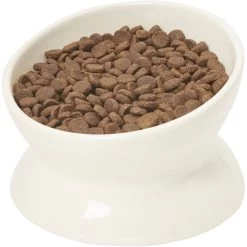 Frisco Double-Sided Ceramic Elevated Cat Bowl -Pet Cat Supplies Store 232081 PT6. AC SS1800 V1684760471
