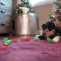 Frisco Holiday Springs Cat Toy, 10 Count 8 Frisco Holiday Springs Cat Toy, 10 Count -Pet Cat Supplies Store 233307 PT2. AC SS1800 V1602172363