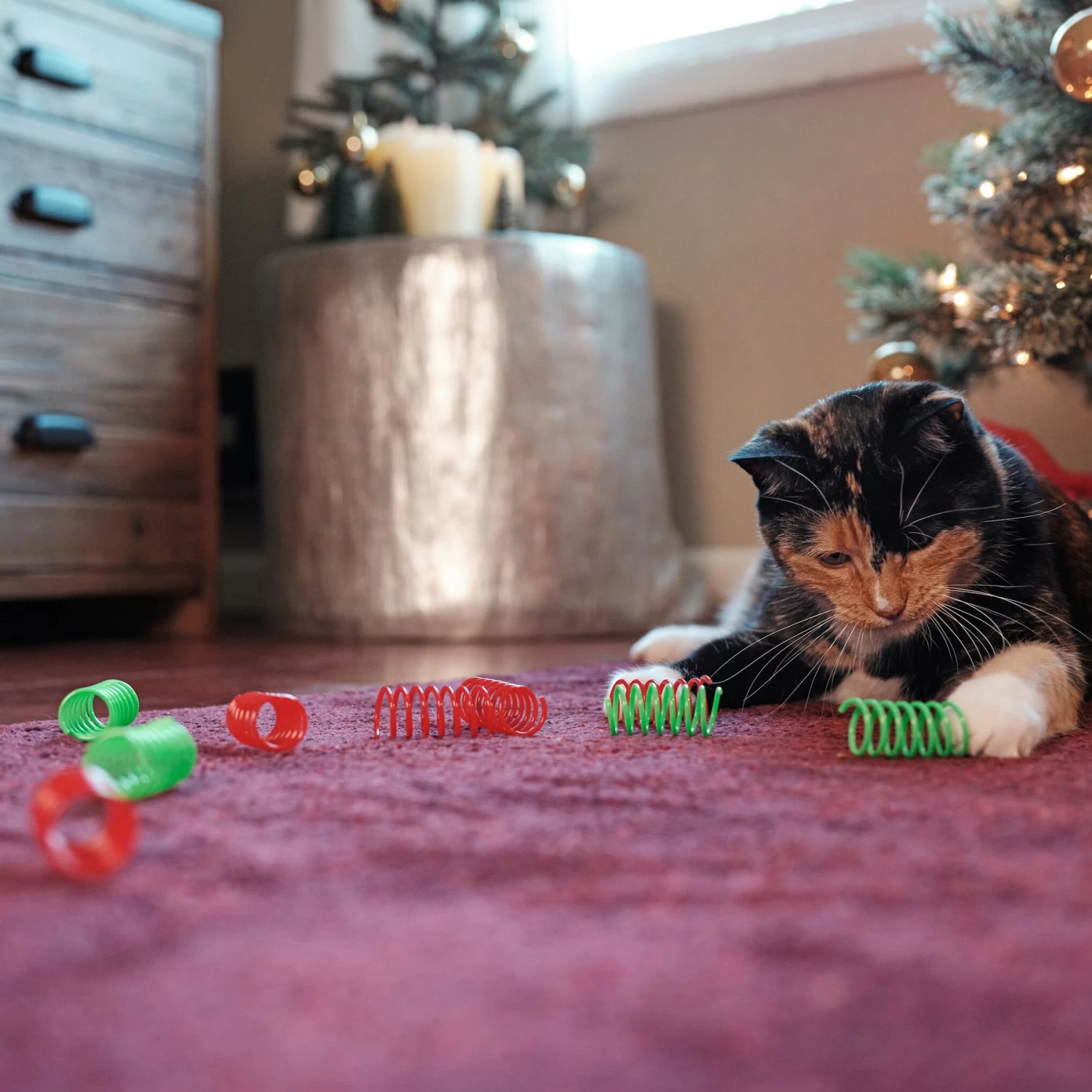 Frisco Holiday Springs Cat Toy, 10 Count 5 Frisco Holiday Springs Cat Toy, 10 Count - Image 3