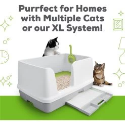 Tidy Cats Breeze Enhanced Active Clean Scent Litter Pellets & Multi-Cat Pads Bundle Pack 19 Tidy Cats Breeze Enhanced Active Clean Scent Litter Pellets & Multi-Cat Pads Bundle Pack -Pet Cat Supplies Store 238093 PT8. AC SS1800 V1629323235