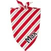 Frisco Peppermint Personalized Dog & Cat Bandana 1 Frisco Peppermint Personalized Dog & Cat Bandana -Pet Cat Supplies Store 242807 MAIN. AC SS1800 V1600114265