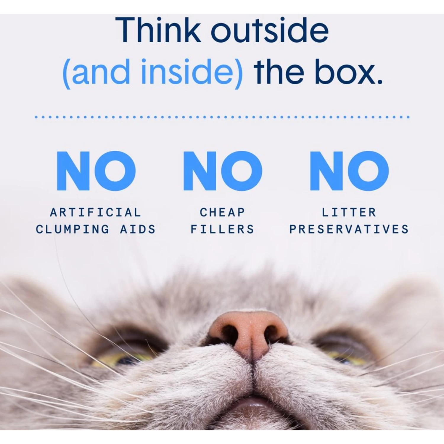 Boxiecat Lightweight Air Fresh & Clean Scented Clumping Cat Litter 7 Boxiecat Lightweight Air Fresh & Clean Scented Clumping Cat Litter - Image 5