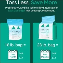 Boxiecat Lightweight Air Fresh & Clean Scented Clumping Cat Litter 13 Boxiecat Lightweight Air Fresh & Clean Scented Clumping Cat Litter -Pet Cat Supplies Store 248208 PT5. AC SS1800 V1643997478