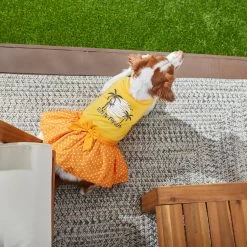 Frisco Fun In The Sun Dog & Cat Dress -Pet Cat Supplies Store 249058 PT7. AC SS1800 V1614094230