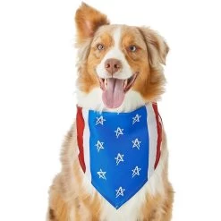 Frisco Stars & Stripes Dog & Cat Bandana -Pet Cat Supplies Store 249329 PT2. AC SS1800 V1632418569