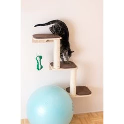 Armarkat Real Wood Cat Step -Pet Cat Supplies Store 251434 PT3. AC SS1800 V1599275454