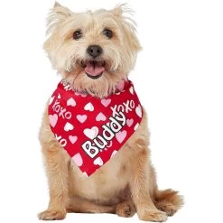 Frisco XOXO Hearts Personalized Dog & Cat Bandana -Pet Cat Supplies Store 254203 PT6. AC SS1800 V1632427913