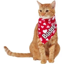 Frisco XOXO Hearts Personalized Dog & Cat Bandana -Pet Cat Supplies Store 254203 PT7. AC SS1800 V1632417974