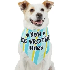 Frisco Big Brother Personalized Dog & Cat Bandana -Pet Cat Supplies Store 254231 PT6. AC SS1800 V1633071398