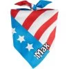 Frisco Americana Personalized Dog & Cat Bandana -Pet Cat Supplies Store 254239 MAIN. AC SS1800 V1619558522