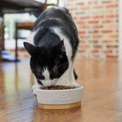 Frisco Oval Meow Non-skid Ceramic Cat Bowl With Wood Base -Pet Cat Supplies Store 256080 PT2. AC SS1800 V1615310782