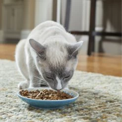 Frisco Kaleidoscope Pattern Non-skid Ceramic Cat Dish -Pet Cat Supplies Store 256092 PT2. AC SS1800 V1616167031