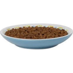 Frisco Kaleidoscope Pattern Non-skid Ceramic Cat Dish -Pet Cat Supplies Store 256092 PT3. AC SS1800 V1617042717