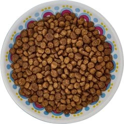Frisco Kaleidoscope Pattern Non-skid Ceramic Cat Dish -Pet Cat Supplies Store 256092 PT5. AC SS1800 V1617042691