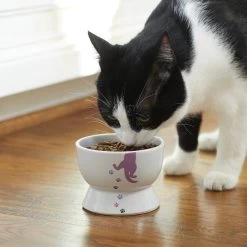 Frisco Cat Print Non-skid Elevated Ceramic Cat Bowl, Short -Pet Cat Supplies Store 256096 PT2. AC SS1800 V1616522571