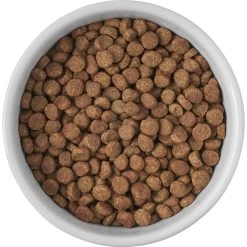 Frisco Cat Print Non-skid Elevated Ceramic Cat Bowl, Short -Pet Cat Supplies Store 256096 PT4. AC SS1800 V1616522576