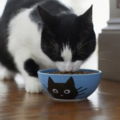 Frisco Cat Face Non-skid Ceramic Cat Bowl, Blue -Pet Cat Supplies Store 256103 PT4. AC SS1800 V1617997004