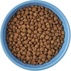 Frisco Cat Face Non-skid Ceramic Cat Bowl, Blue -Pet Cat Supplies Store 256103 PT5. AC SS1800 V1615312900