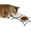 Frisco Cat Face Non-skid Elevated Double Ceramic Cat Bowl -Pet Cat Supplies Store 256113 MAIN. AC SS1800 V1616522219