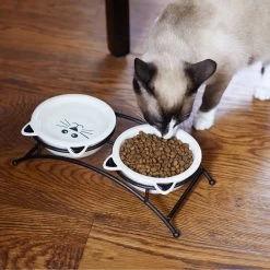 Frisco Cat Face Non-skid Elevated Double Ceramic Cat Bowl -Pet Cat Supplies Store 256113 PT2. AC SS1800 V1616522604