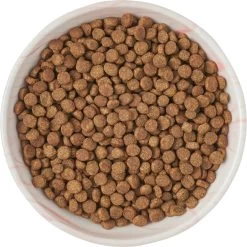 Frisco Marble Design Non-skid Ceramic Cat Bowl -Pet Cat Supplies Store 256125 PT5. AC SS1800 V1615311382