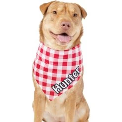 Frisco Gingham Personalized Dog & Cat Bandana 17 Frisco Gingham Personalized Dog & Cat Bandana -Pet Cat Supplies Store 258775 PT6. AC SS1800 V1619558303