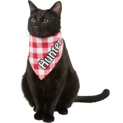 Frisco Gingham Personalized Dog & Cat Bandana 18 Frisco Gingham Personalized Dog & Cat Bandana -Pet Cat Supplies Store 258775 PT7. AC SS1800 V1619558565