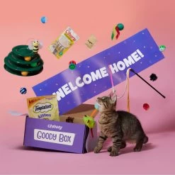 Goody Box Kitten Toys & Treats -Pet Cat Supplies Store 258991 PT2. AC SS1800 V1657656401