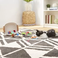 Goody Box Kitten Toys & Treats -Pet Cat Supplies Store 258991 PT4. AC SS1800 V1657656402