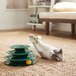 Goody Box Kitten Toys & Treats -Pet Cat Supplies Store 258991 PT5. AC SS1800 V1657656402