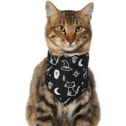 Frisco Glow In The Dark Mystical Print Dog & Cat Bandana -Pet Cat Supplies Store 261218 PT2. AC SS1800 V1633086982