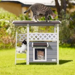 Petsfit Outdoor Cat House -Pet Cat Supplies Store 261505 PT5. AC SS1800 V1605666930