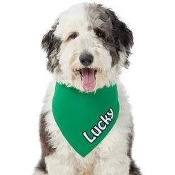 Frisco Solid Color Personalized Dog & Cat Bandana -Pet Cat Supplies Store 267489 PT6. AC SS1800 V1632418582