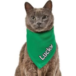 Frisco Solid Color Personalized Dog & Cat Bandana -Pet Cat Supplies Store 267489 PT7. AC SS1800 V1632431774