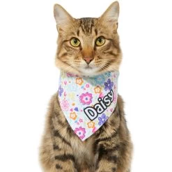 Frisco Bright Floral Personalized Dog & Cat Bandana -Pet Cat Supplies Store 267535 PT8. AC SS1800 V1623164312