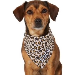 Frisco Leopard Print Personalized Dog & Cat Bandana -Pet Cat Supplies Store 267543 PT7. AC SS1800 V1623164552