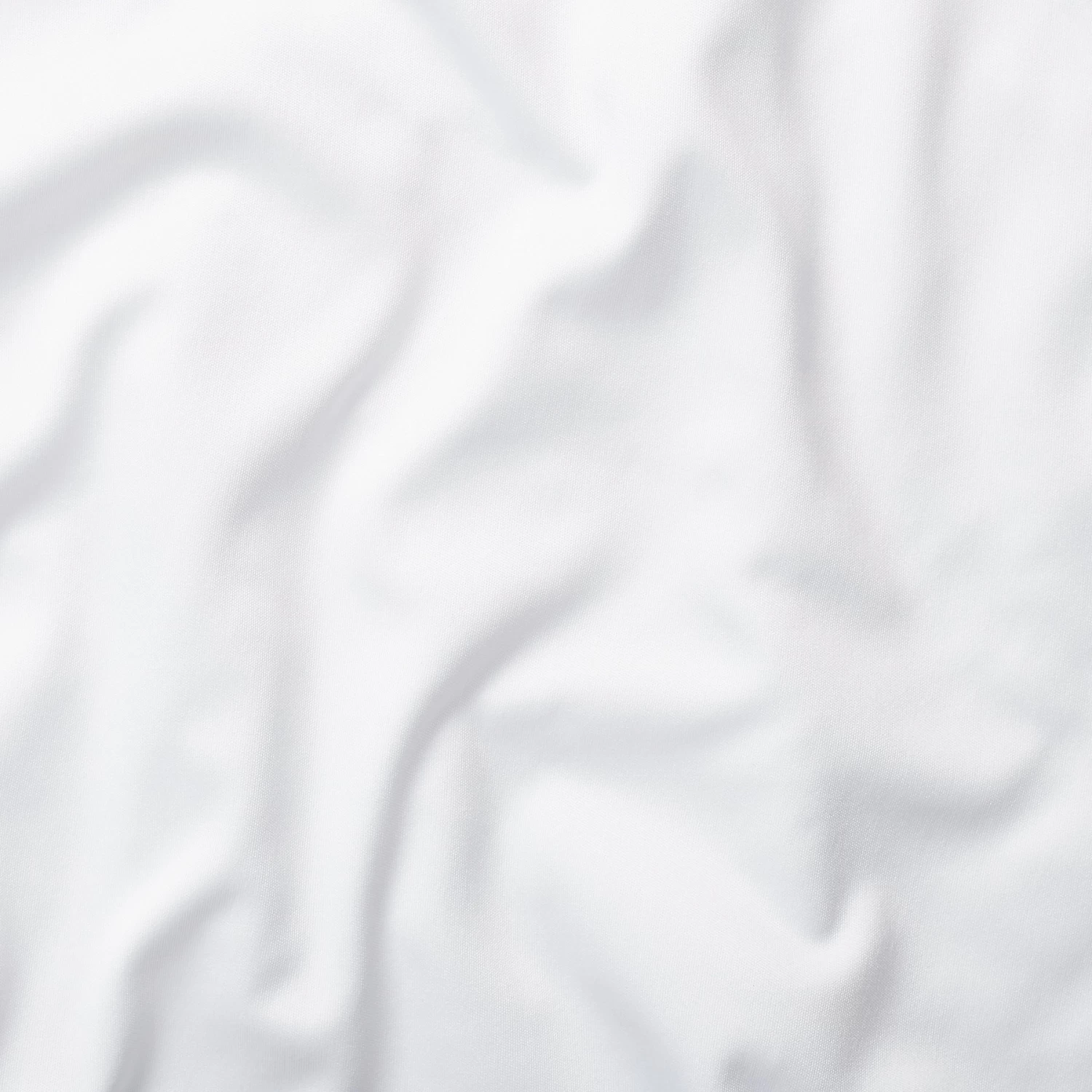 Frisco Cactus Personalized Dog & Cat Bandana 8 Frisco Cactus Personalized Dog & Cat Bandana - Image 6