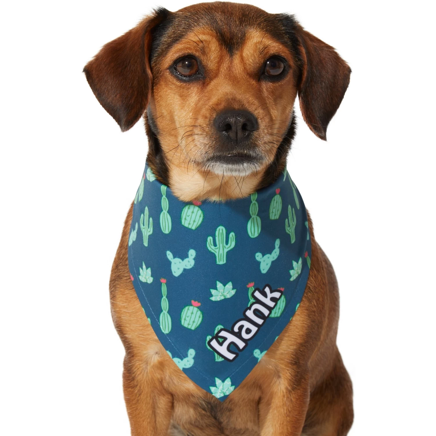 Frisco Cactus Personalized Dog & Cat Bandana 9 Frisco Cactus Personalized Dog & Cat Bandana - Image 7