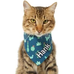 Frisco Cactus Personalized Dog & Cat Bandana 17 Frisco Cactus Personalized Dog & Cat Bandana -Pet Cat Supplies Store 267551 PT8. AC SS1800 V1623164657
