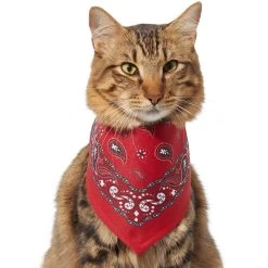 Frisco Red Paisley Dog & Cat Bandana -Pet Cat Supplies Store 267919 PT3. AC SS1800 V1637652719