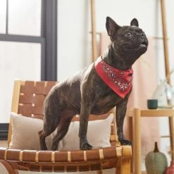 Frisco Red Paisley Dog & Cat Bandana -Pet Cat Supplies Store 267919 PT5. AC SS1800 V1637687581