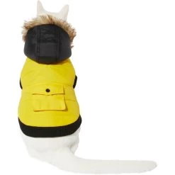 Frisco Heavyweight Anchorage Insulated Dog & Cat Parka, Yellow/Black -Pet Cat Supplies Store 268397 PT2. AC SS1800 V1628792856