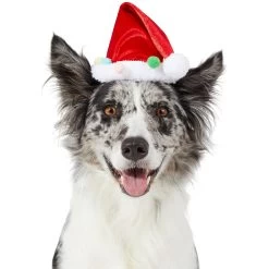 Frisco Holiday Poms Dog & Cat Santa Hat -Pet Cat Supplies Store 276194 PT2. AC SS1800 V1631303507