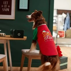 Frisco Santa I Can Explain Dog & Cat T-shirt -Pet Cat Supplies Store 276496 PT5. AC SS1800 V1637677020