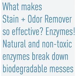 Messy Pet Cat Stain & Odor Remover, 27-oz Bottle -Pet Cat Supplies Store 279368 PT7. AC SS1800 V1618006920