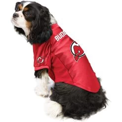 Littlearth NHL Personalized Stretch Dog & Cat Jersey -Pet Cat Supplies Store 283902 PT2. AC SS1800 V1631918790