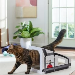 Frisco Treadmill Cardboard Cat House -Pet Cat Supplies Store 288967 PT3. AC SS1800 V1638288289