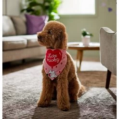 Disney Mickey Mouse "Love Mickey" Dog & Cat Bandana -Pet Cat Supplies Store 290119 PT5. AC SS1800 V1637362002